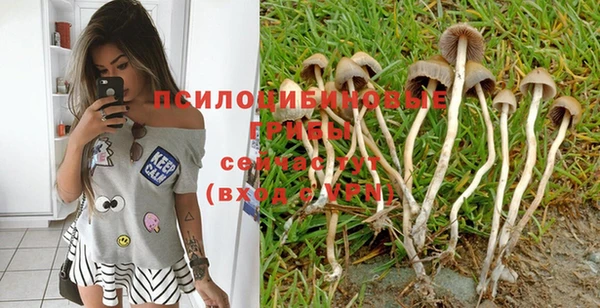 каннабис Алзамай